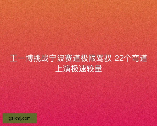 王一博挑战宁波赛道极限驾驭 22个弯道上演极速较量